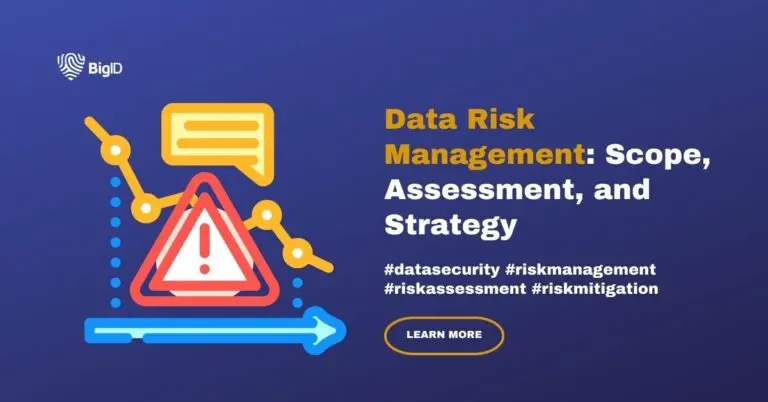 Data risk management: scope, assessment and strategy
